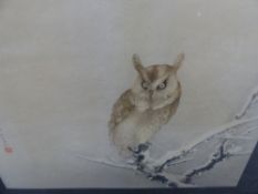 EARLY 20TH CENTURY JAPANESE SCHOOL, TWO STUDIES OF BIRDS, AN OWL AND A HAWK, BOTH SIGNED WITH