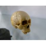 A CARVED IVORY MODEL OF A SKULL. 3.5CM HIGH