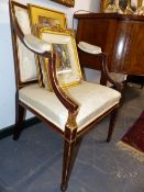 A 19TH.C.PAINTED FAUX ROSEWOOD AND GILT OPEN ARMCHAIR.