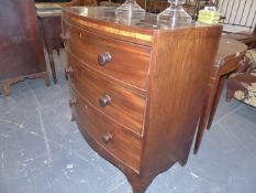 A LATE GEORGIAN MAHOGANY AND SATINWOOD BANDED SMALL BOW FRONT CHEST OF THREE DRAWERS. 93cms WIDE.