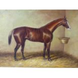 ENGLISH SCHOOL (LATE 19TH/EARLY 20TH CENTURY), PORTRAIT OF A CHESTNUT HORSE IN A STABLE, OIL ON