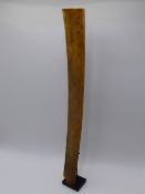 AN ANTIQUE CHINESE IVORY HU TABLET ON CONFORMING MUSEUM STAND. HEIGHT 45CMS.