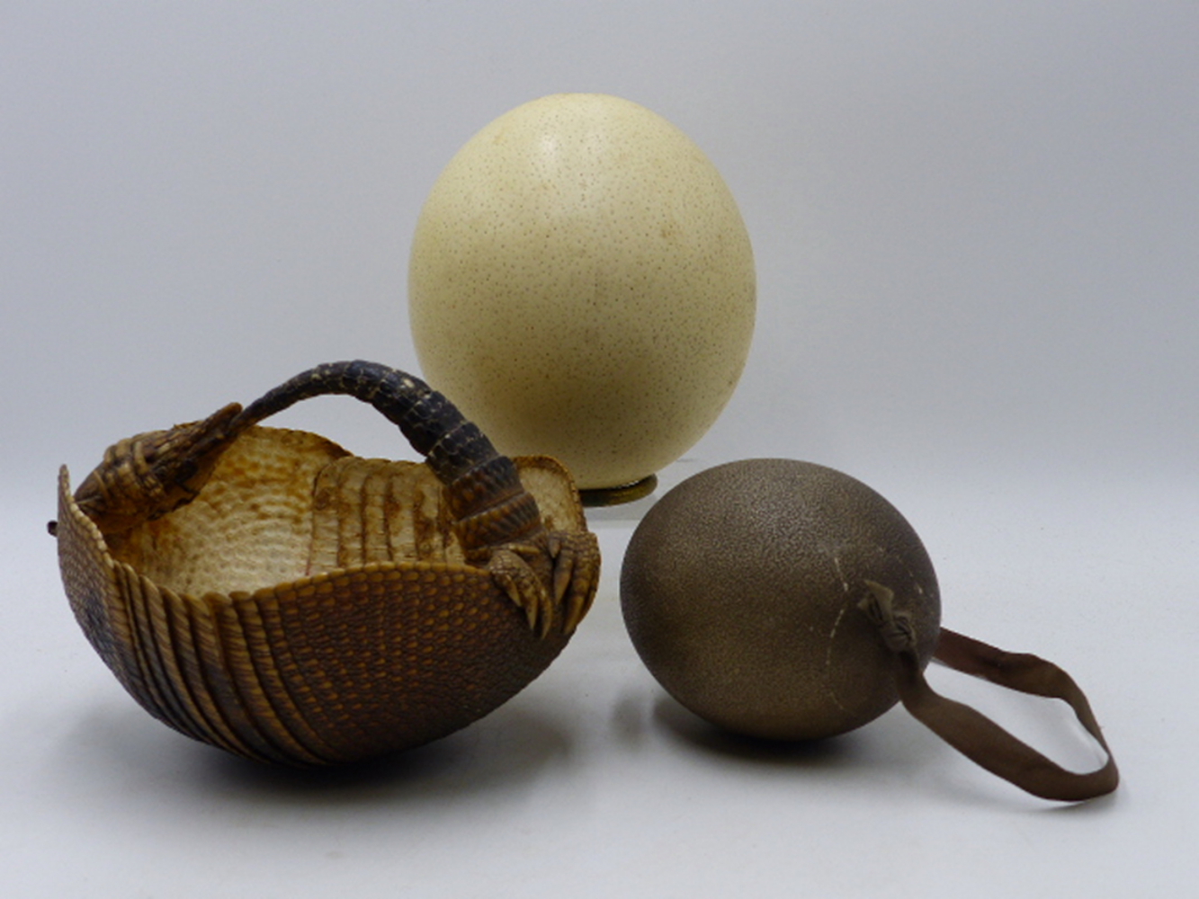 A TAXIDERMY ARMADILLO HIDE MOUNTED AS A SEWING BASKET TOGETHER WITH AN OSTRICH AND AN EMU EGG. - Image 2 of 2