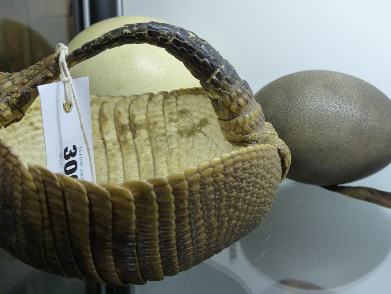 A TAXIDERMY ARMADILLO HIDE MOUNTED AS A SEWING BASKET TOGETHER WITH AN OSTRICH AND AN EMU EGG.