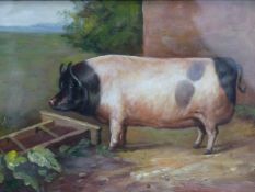 A NAIVE PORTRAIT OF A PIG IN A GARDEN, OIL ON BOARD, 16.5 X 24CM.