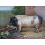 A NAIVE PORTRAIT OF A PIG IN A GARDEN, OIL ON BOARD, 16.5 X 24CM.