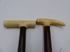 A LATE 19TH /EARLY 20TH CENTURY IVORY HANDLED WAKING STICK ON COROMANDEL SHAFT TOGETHER WITH A