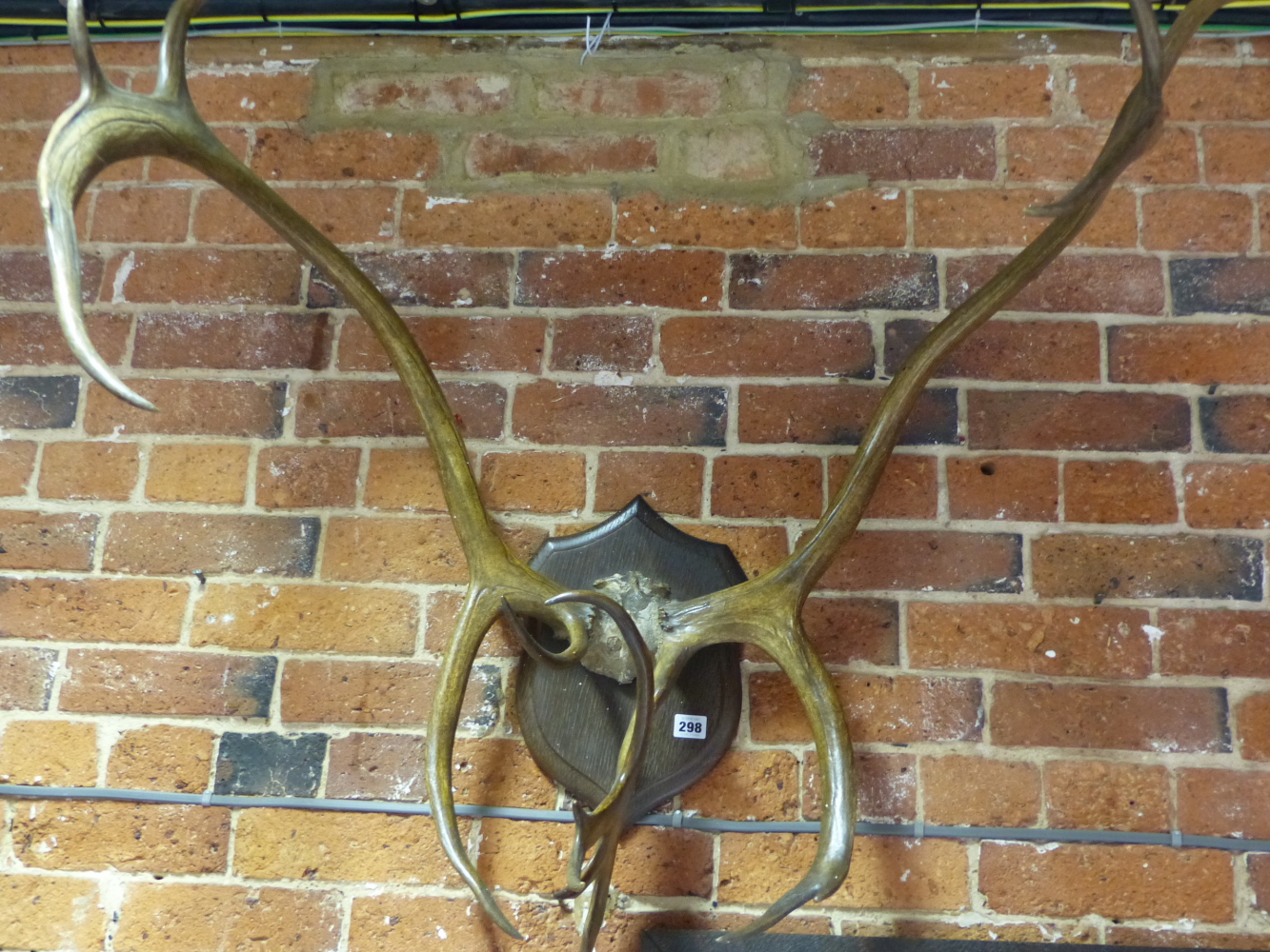 AN IMPRESSIVE PAIR OF STAG ANTLERS AND FRONTLET ON AN OAK WALL SHIELD WALL MOUNT.