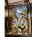 A FINE VICTORIAN CASED AND MOUNTED COLLECTION OF AUSTRALIAN BIRDS BY JAMES GARDNER OF LONDON TO