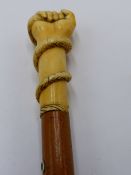 A GOOD 19TH CENTURY MALACCA WALKING CANE WITH CARVED IVORY LONG HAND OF HAND GRIPPING SERPENT