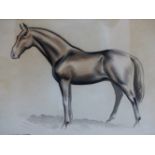 CLIFFORD WEBB (ARR), HORSE STUDY, CHARCOAL AND CHALK, SIGNED, 20.5 X 28CM.