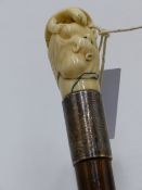 A LATE 19TH CENTURY WALKING CANE WITH ORIENTAL CARVED IVORY HANDLE DEPICTING BAT, TURTLE AND TOAD,