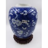 A CHINESE BLUE AND WHITE LARGE PRUNUS DECORATED GINGER JAR WITH DOUBLE ENCIRCLES FOUR CHARACTER MARK