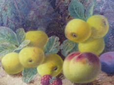 OLIVER CLARE (1853-1927) STILL LIFE OF FRUIT, SIGNED OIL ON CANVAS. 15.5 x 20.5cms