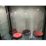 A GROUP OF FOUR ANTIQUE GLASS DISPLAY DOMES WITH BASES.