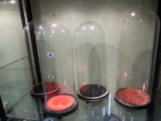 A GROUP OF FOUR ANTIQUE GLASS DISPLAY DOMES WITH BASES.