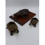 TAXIDERMY. AN EARLY 20th.C.FULL MOUNT SMALL TURTLE TOGETHER WITH TWO SMALL TERRAPIN MOUNTED AS