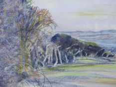 JOAN HAMMOND (1924-2006) A RURAL LANDSCAPE, SIGNED. PASTEL. 30 X 46cms