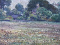 EARLY 20th.C.ENGLISH SCHOOL. THE MEADOW, SIGNED INDISTINCTLY, OIL ON BOARD. 31.5x38cms.