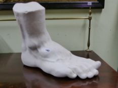 A LARGE PLASTER FOOT AFTER THE ANTIQUE WITH AN INDISTINCT IMPRESSED MAKER'S LABEL. W.48cms.