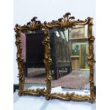 A PAIR OF GILT ROCOCO STYLE MIRRORS. H.62cms x W.38cms.