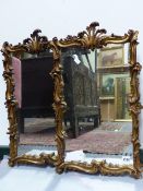A PAIR OF GILT ROCOCO STYLE MIRRORS. H.62cms x W.38cms.
