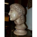 A TINTED PLASTER BUST AFTER THE ANTIQUE INSCRIBED VERSO, D.BRUCCIANE & Co, LONDON. H.40cms.