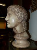 A TINTED PLASTER BUST AFTER THE ANTIQUE INSCRIBED VERSO, D.BRUCCIANE & Co, LONDON. H.40cms.