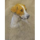 ATTRIBUTED TO THOMAS BLINKS (1860-1912) A PORTRAIT OF A GUN DOG, PASTEL. PROVENANCE VERSO. 23 x