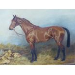 IVESTER LLOYD (1871-1942) A PORTRAIT OF A HORSE, A SIGNED OIL ON CANVAS. 41x51cms