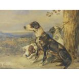 EARLY 20th.C. ENGLISH SCHOOL THREE ENGLISH POINTERS INITIALLED D.C. WATERCOLOUR. 25.5 x 35.5cms