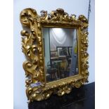 A CARVED GILTWOOD FLORENTINE MIRROR IN THE BAROQUE TASTE. H.66cms, W. 56cms.
