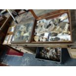 A LARGE COLLECTION OF VARIOUS ROCKS, FOSSILS, MINERALS,ETC.