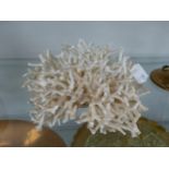 UNUSUAL STAG HORN CORAL .