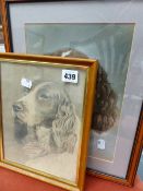 A PENCIL STUDY OF A SPANIEL SIGNED TURNER AND A PASTEL STUDY OF A SPANIEL BY JACQUELINE BRAIN.