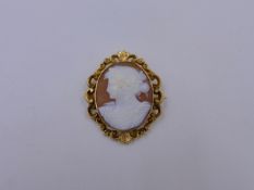 A CARVED PORTRAIT CAMEO IN A PRECIOUS YELLOW METAL SCROLL MOUNT TESTED AS GOLD. APPROXIMATE