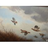 J.C.HARRISON (1898-1985) A COVY OF FRENCH PARTRIDGE IN FLIGHT, SIGNED WATERCOLOUR. 56 x 79cms.