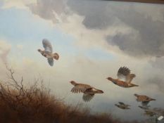 J.C.HARRISON (1898-1985) A COVY OF FRENCH PARTRIDGE IN FLIGHT, SIGNED WATERCOLOUR. 56 x 79cms.