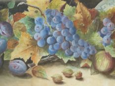 MARION MEARNS (19th/20th.C.) TABLE TOP STILL LIFE OF FRUIT, SIGNED WATERCOLOUR. 33 x 76cms.