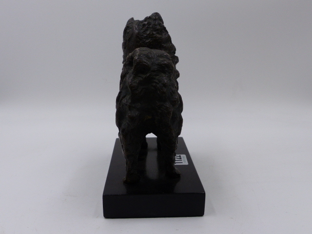 19th.C. CONTINENTAL SCHOOL. BRONZE SCULPTURE OF A STANDING POMERANIAN, POSSIBLY RUSSIAN,ON LATER - Bild 8 aus 10