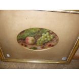 19th.C.ENGLISH SCHOOL, AN OVAL STILL LIFE OF FRUIT, WATERCOLOUR. 17 x 26cms.