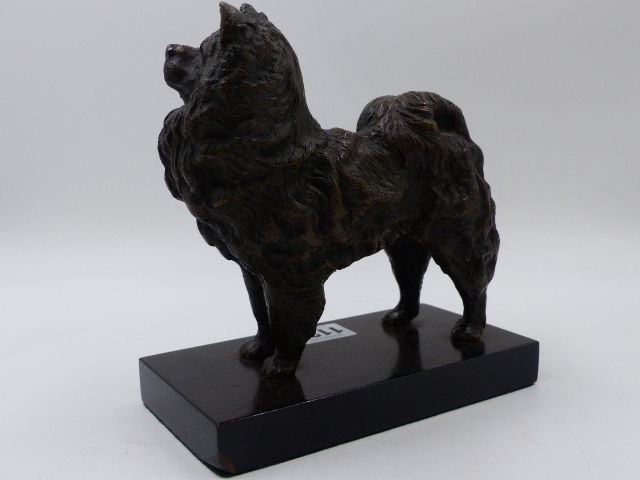 19th.C. CONTINENTAL SCHOOL. BRONZE SCULPTURE OF A STANDING POMERANIAN, POSSIBLY RUSSIAN,ON LATER - Bild 5 aus 10