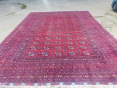 A LARGE AFGHAN BOKHARA CARPET. 410 X 560CM