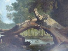 EARLY 19th.C.ENGLISH SCHOOL. A WOODED RIVER SCENE, OIL ON CANVAS. 52 x 62cms.