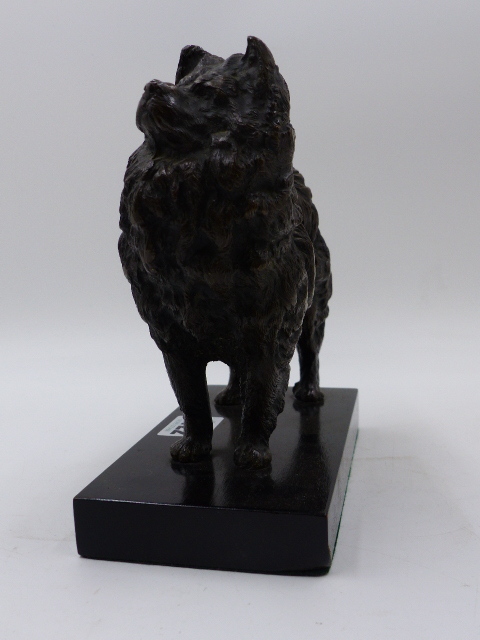 19th.C. CONTINENTAL SCHOOL. BRONZE SCULPTURE OF A STANDING POMERANIAN, POSSIBLY RUSSIAN,ON LATER - Bild 4 aus 10