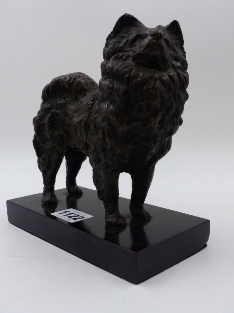 19th.C. CONTINENTAL SCHOOL. BRONZE SCULPTURE OF A STANDING POMERANIAN, POSSIBLY RUSSIAN,ON LATER - Bild 3 aus 10