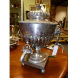 A 19TH CENTURY SHEFFIELD PLATED TEA URN ON SQUARE FORM BASE AND BUN FEET AND WITH LION MASK RING