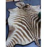 A ZEBRA SKIN RUG.