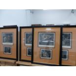 A SET OF FRAMED PRINTS THE FOUR SEASONS.