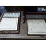 THREE SHARE CERTIFICATES.